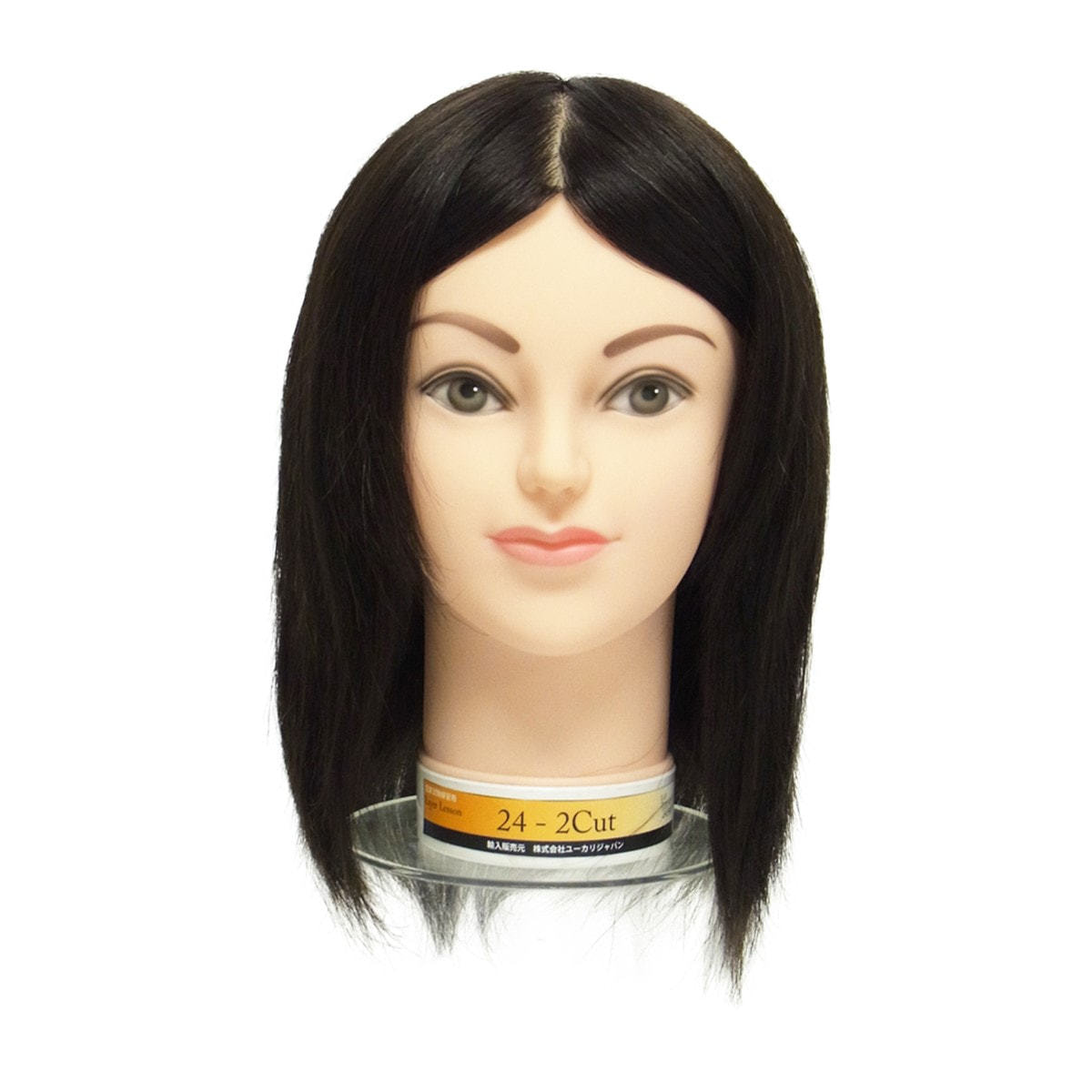 YUKARI JAPAN 24-2Cut【美容師実技試験練習用/人毛100%】の卸・通販
