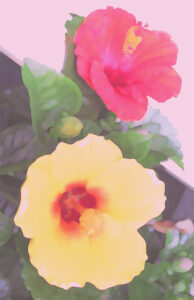 ヒロヤマガタ ブダペスト | 絵画など美術品の販売と買取 | 東京・銀座