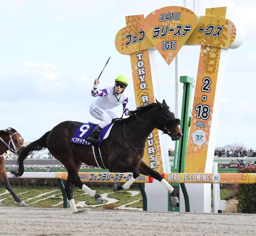 フェブラリーS】G1初挑戦ペプチドナイルが制す 藤岡佑介騎手「直線は