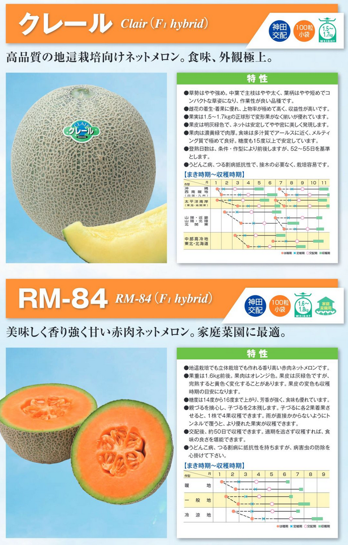 メロン種子】神田交配 クレール／RM-84 野菜と花の種・苗・緑肥の通販