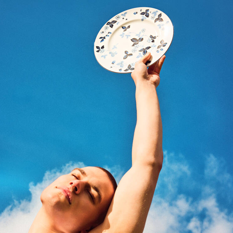 ストロベリー インクブルー プレート20cm|WEDGWOOD公式オンラインストア