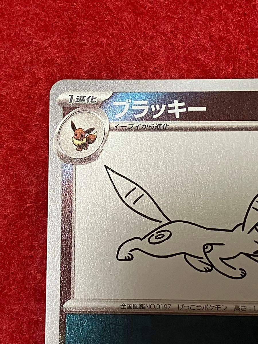 極美品】 ポケモンカード ブラッキー プロモ 長場雄 YU NAGABA PROMO