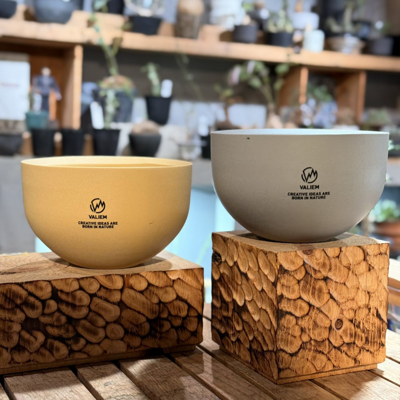 植物鉢】新色！【植物鉢】 Valiem GHOST（BOWL / Lサイズ）単品