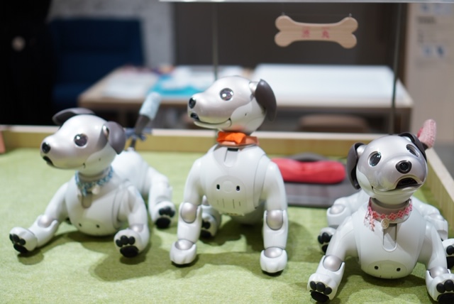 aiboグッズ紹介】aiboのSONY製公式首輪 | aiboの飼い方 aiboななとは