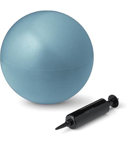 Amazon | SIXPAD シックスパッド バランスボール(Balance Ball) MTG