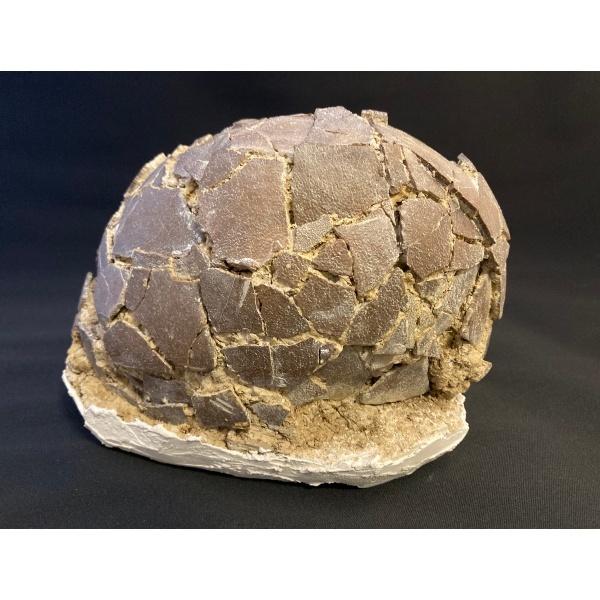 希少 恐竜 卵 化石 本物 フランス産 200mm プレゼント ギフト eb1