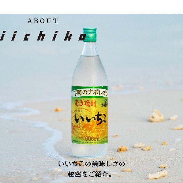 いいちこ25度 いいちこ 焼酎 25度 1.8L 1800ml パック 1ケース 6本 麦