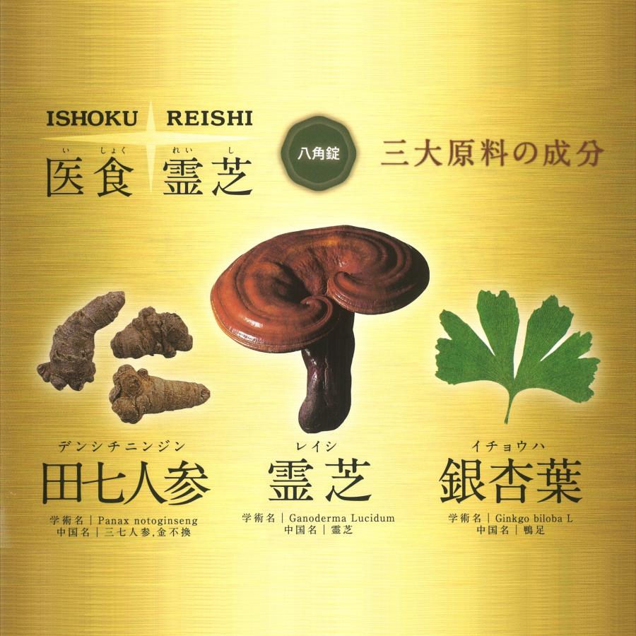 医食霊芝 八角錠 540錠(260mg/錠) 健康食品 レイシ 銀杏葉 イチョウ葉