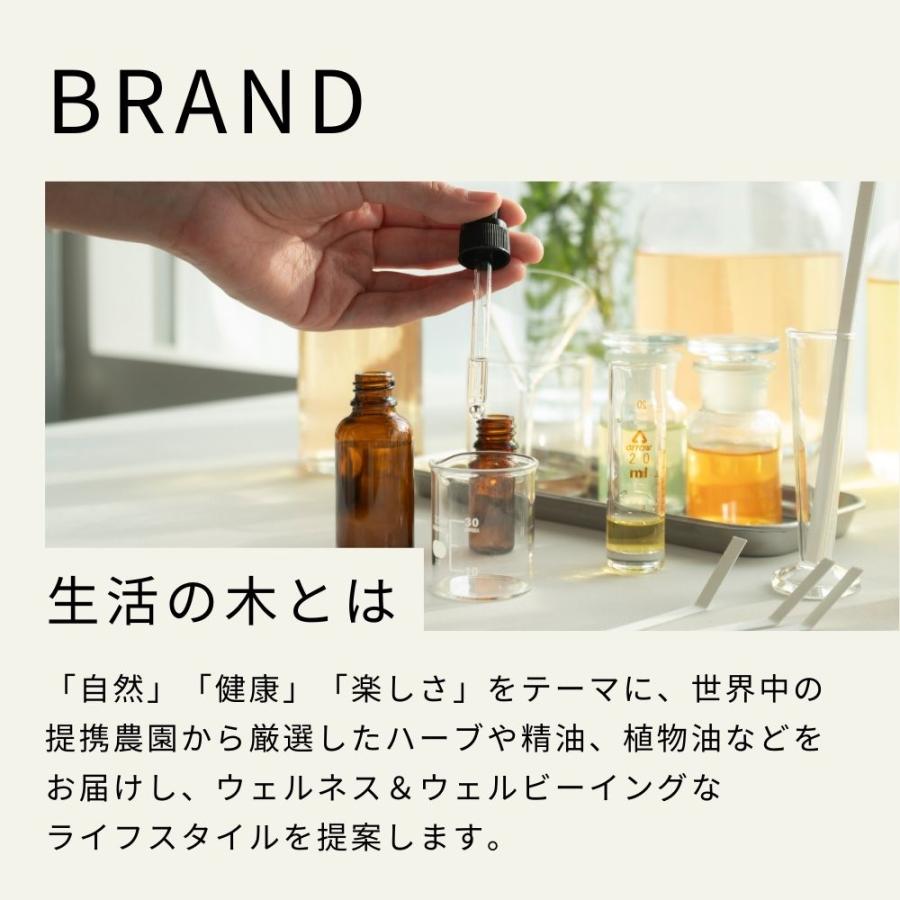 生活の木 公式 大人気エッセンシャルオイル12本セット 5ml×12種類 福袋