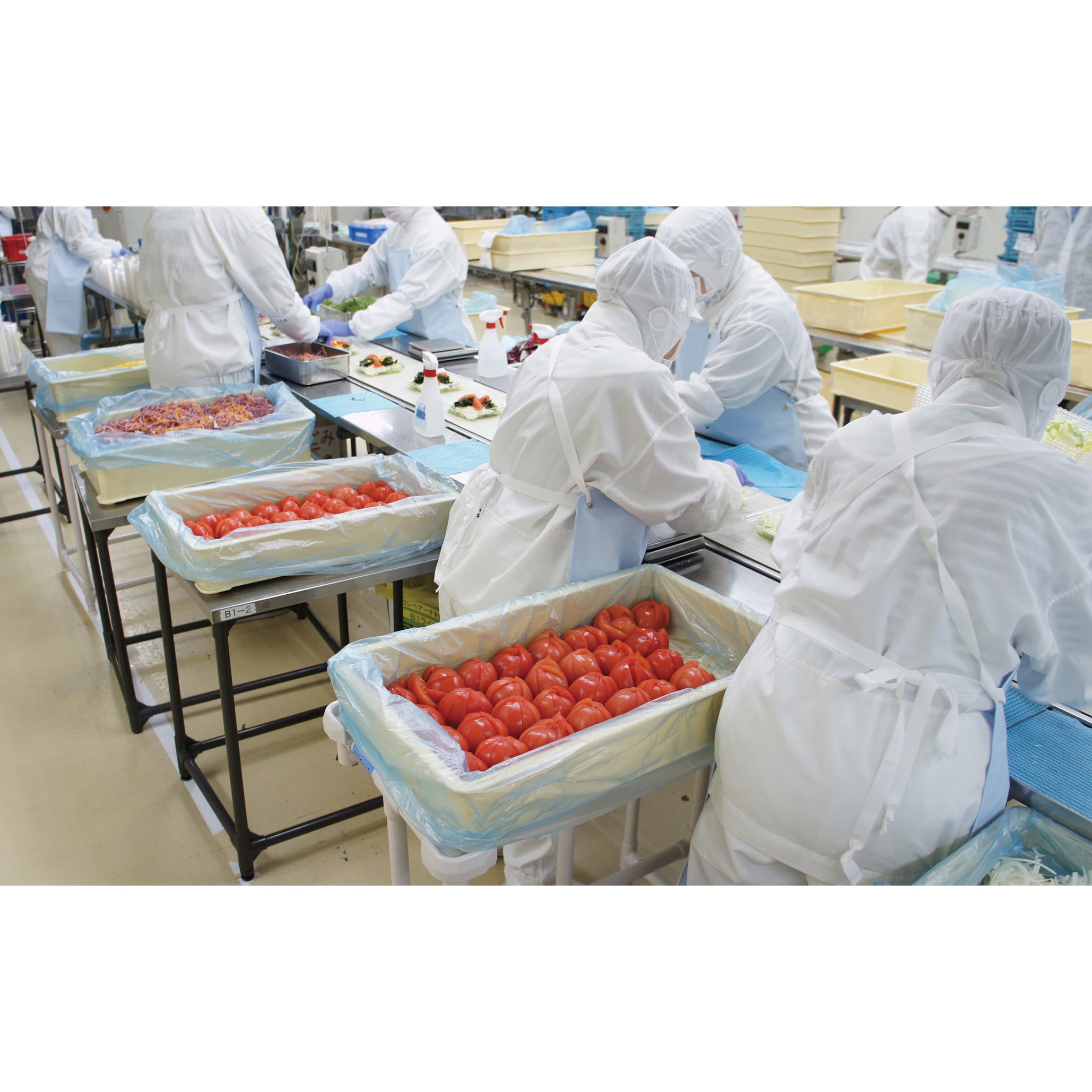 20210700CL202 ばんじゅう サンコー(三甲) クリーム色 嵌合商品ばん