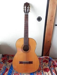 m64101473833_1.jpg?1714997375