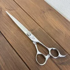 2026年最新】光シザー F-5の人気アイテム - メルカリ