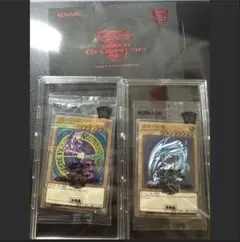 2026年最新】wcs2018の人気アイテム - メルカリ