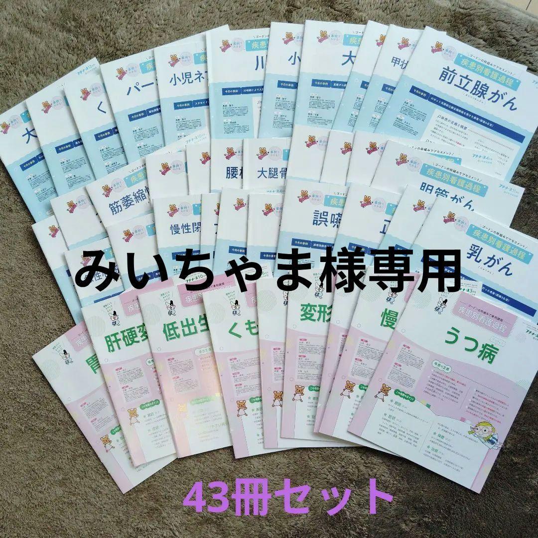 プチナース　疾患別看護過程　老年看護過程