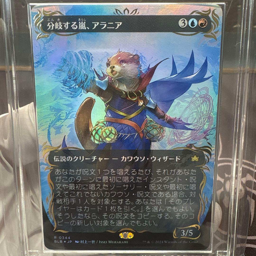 分岐する嵐、アラニア　VSS鑑定品 分岐する嵐、アラニア VSS鑑定品 分岐する嵐、アラニアVSS鑑定品