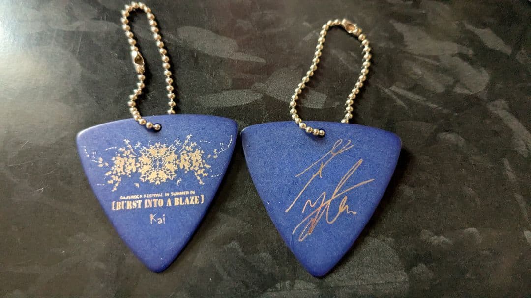 the GazettE ピック Kai 1枚