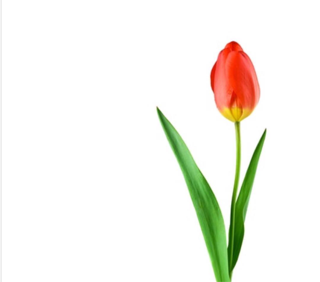 美容液 micchi 250 マキアインフルエンサー Mikiさんの最新記事 | 集英社の美容総合