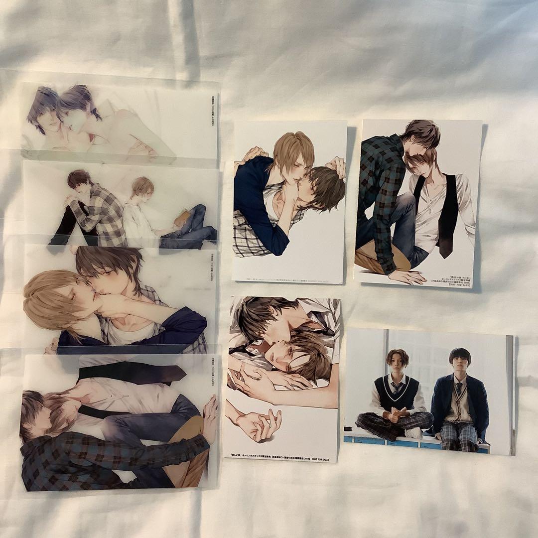 【美しい彼】トレーディングクリアカード TVドラマ化記念展 凪良ゆう 葛西リカコ クリアカードコンプリートセット〈凪良ゆう先生「美しい彼」TVドラマ化