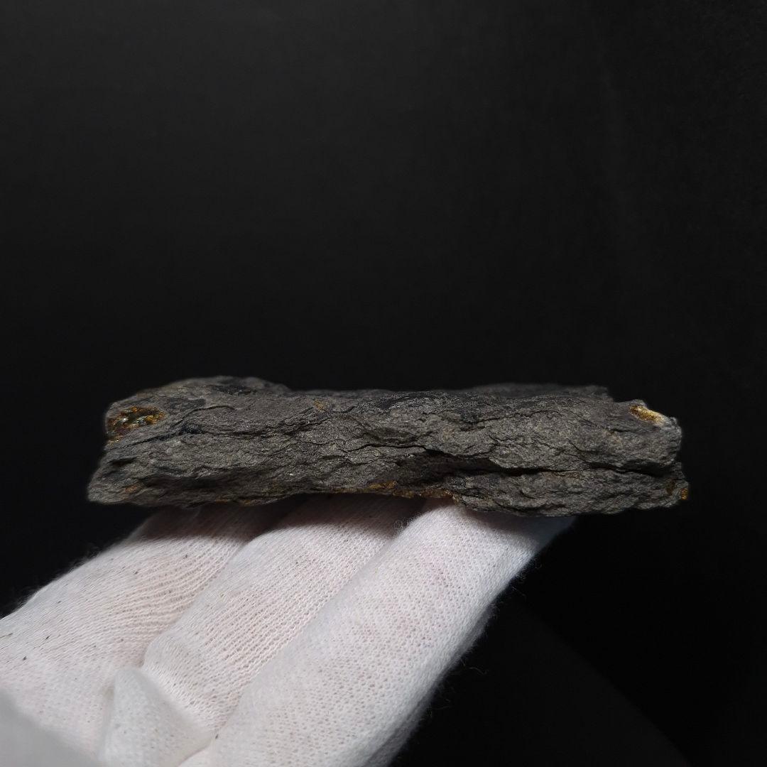 母岩付き 琥珀 化石 本物 87.71mm fab1