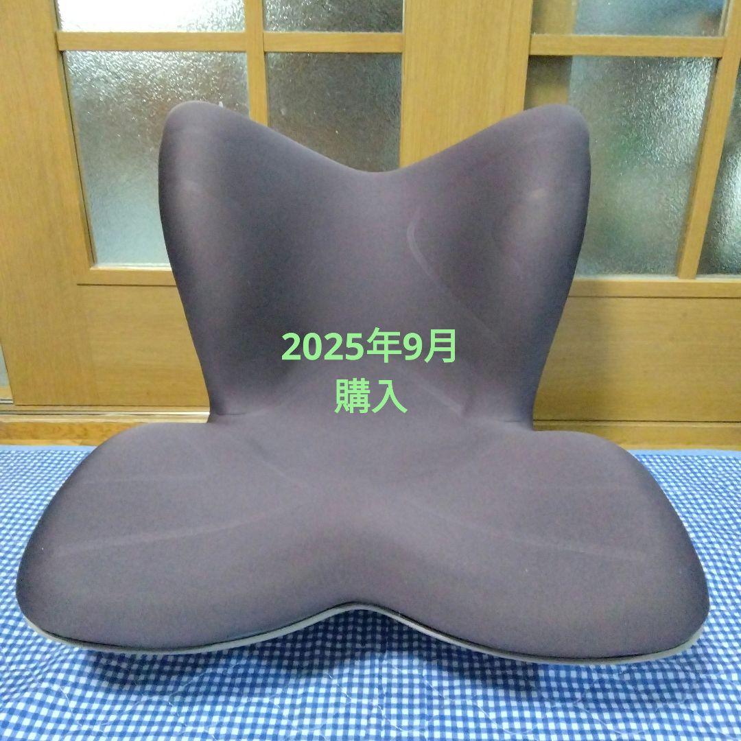 週末値下げ【美品】MTG Style PREMIUM 姿勢サポートチェア