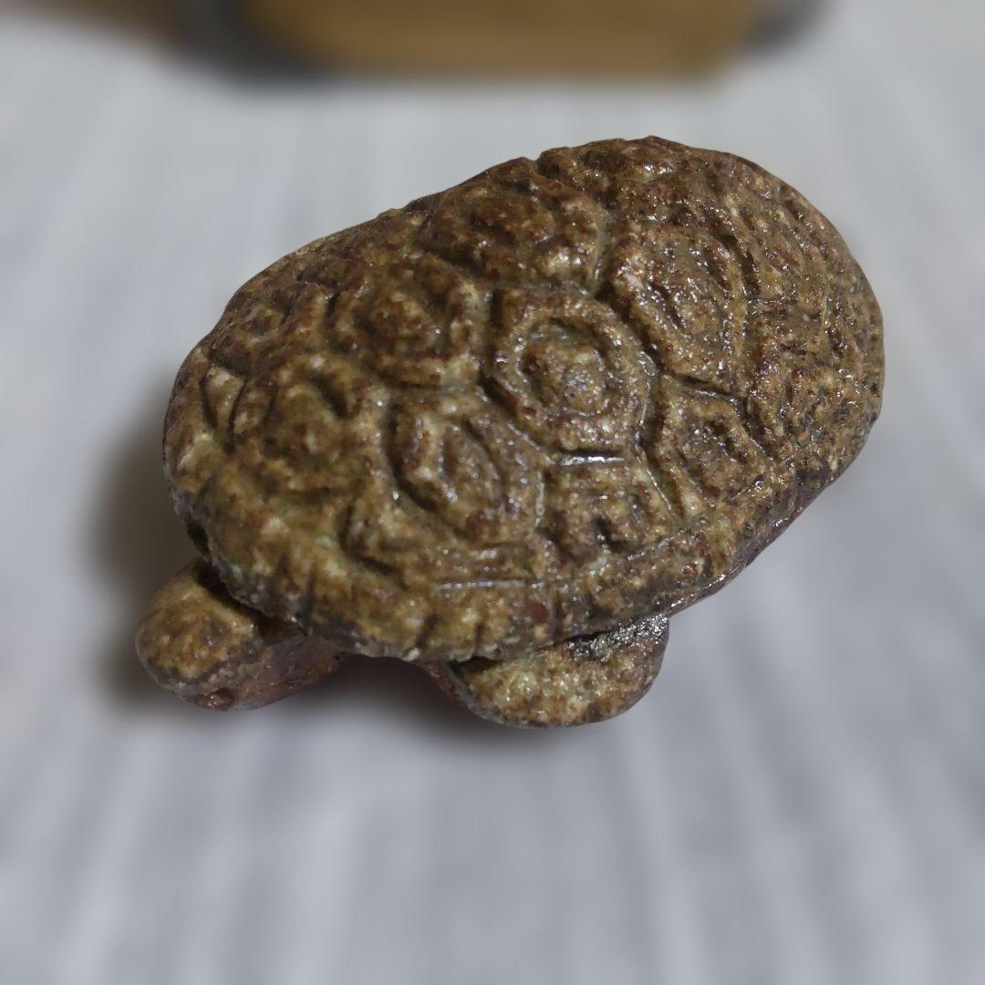 信楽焼 亀 香合 sgg_001_grande.jpg?v=1682894973