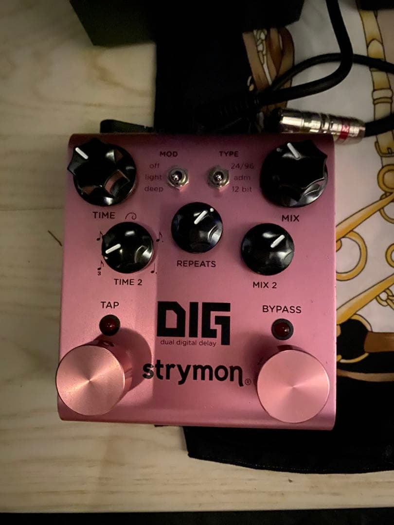 ギター Strymon DIG V1