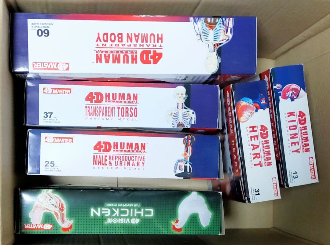 立体パズル4D VISION