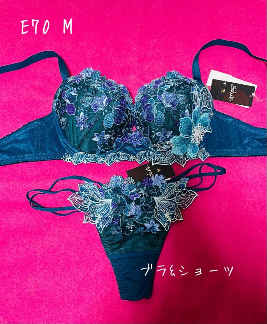 サルート✩ワコール 【おとめ座 33G】Salute E70 M