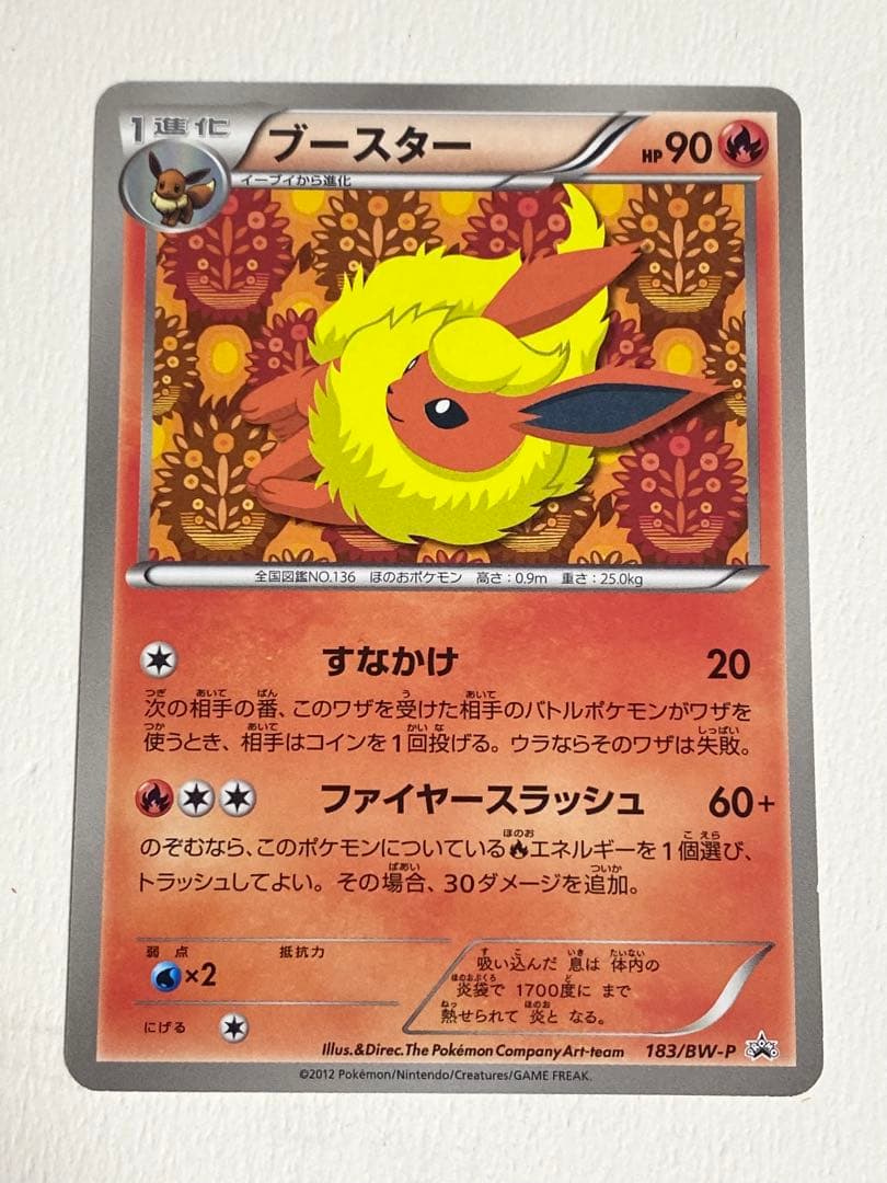 ポケモンカード　bw-p ブースター　イーブイコレクション　ファイル　プロモ