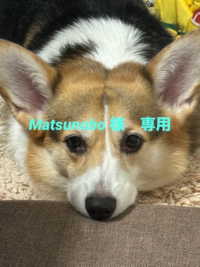 ルイヴィトン ジグソーパズル パズル・スコット 200周年記念 ルイヴィトン ジグソーパズル パズル・スコット 200周年記念 GI0638