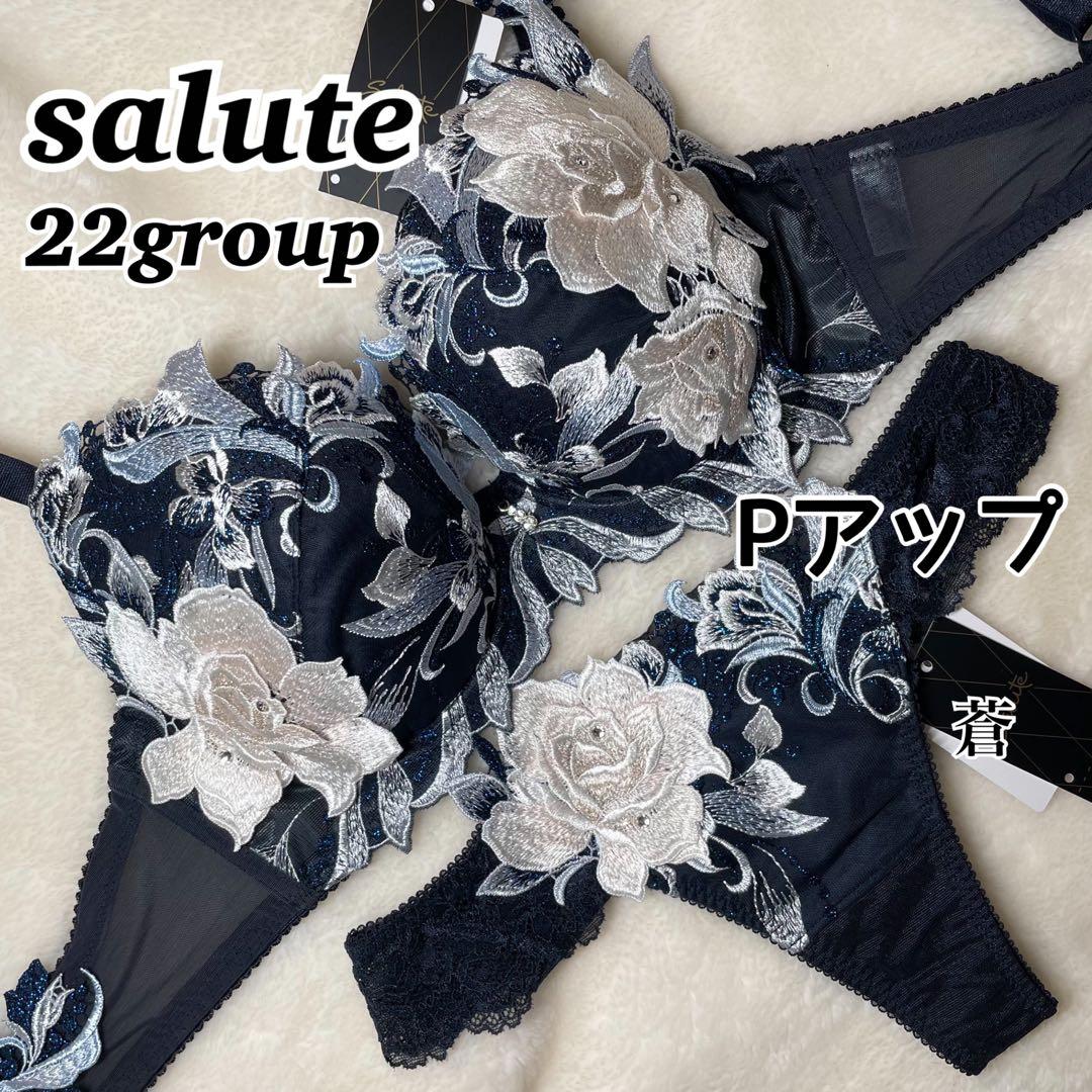 サルート22グループPアップブラソングセット(ネイビー)