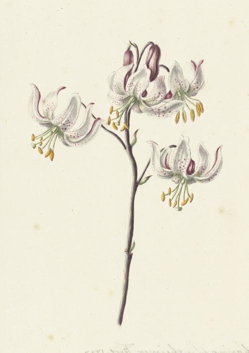 m10★ポスター8枚 SS8000HQ-1067 ポスター印刷用布メディア ポスター・横断幕(フリー