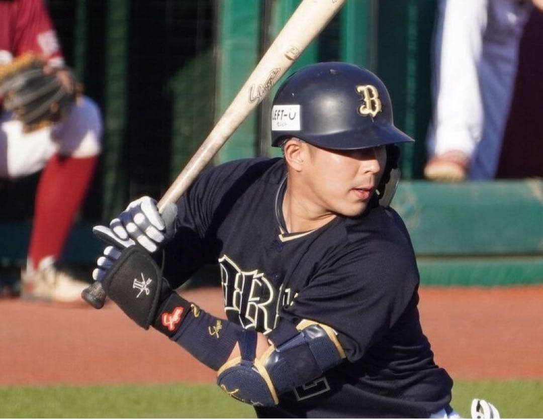 Slugger 硬式バット ホワイト