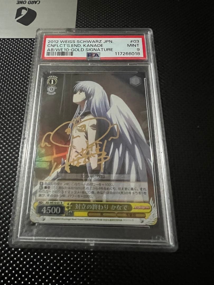対立の終わり　かなで　psa9