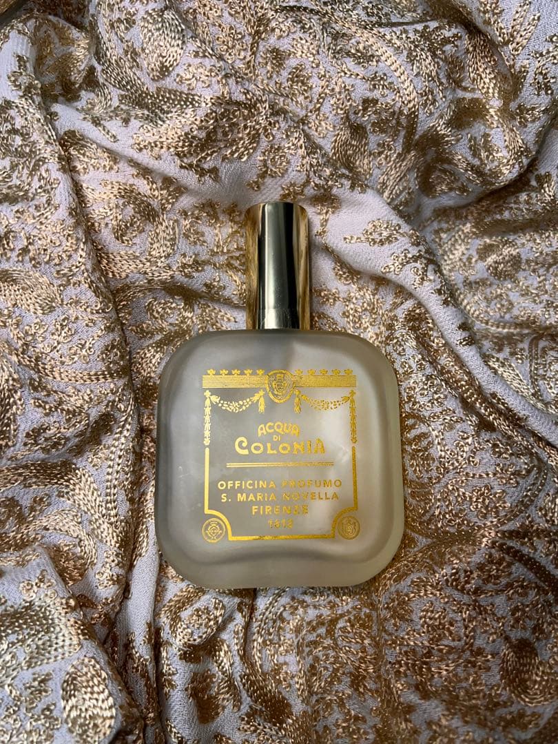 サンタマリアノヴェラ Verbena バーベナ