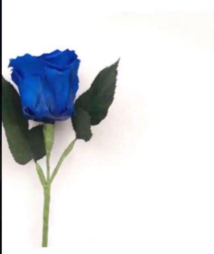 ナツ 3点 洗顔 他