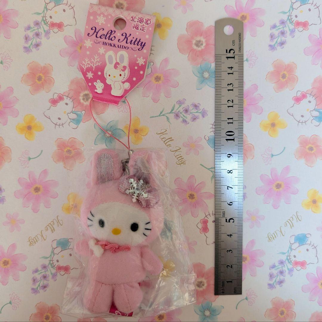 公*o様 【希少】ハローキティ　ご当地キティ　根付け　北海道　雪うさぎピンク ハローキティ 北海道限定 雪うさぎキティ 根付け - メルカリ