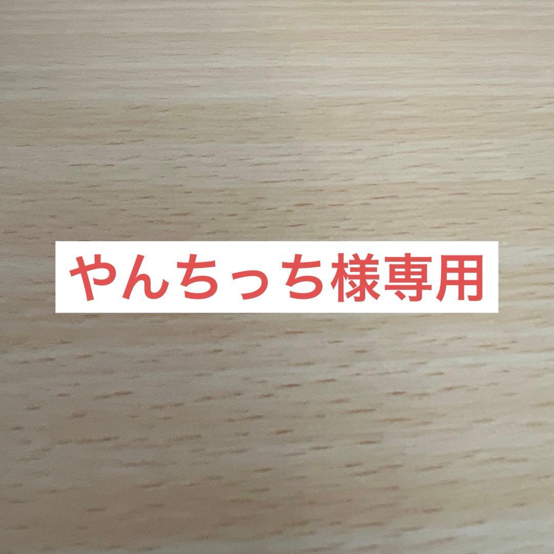 やんちっち❗️ アイビー化粧品レッドパワーセラム1BOX