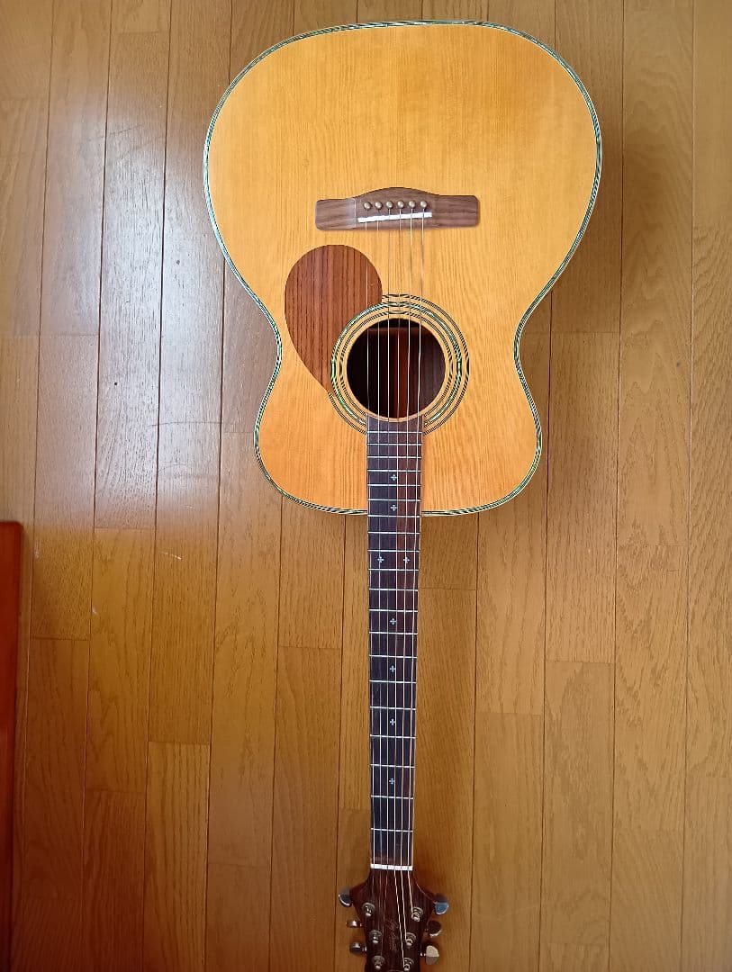 ギター Greg Bennett