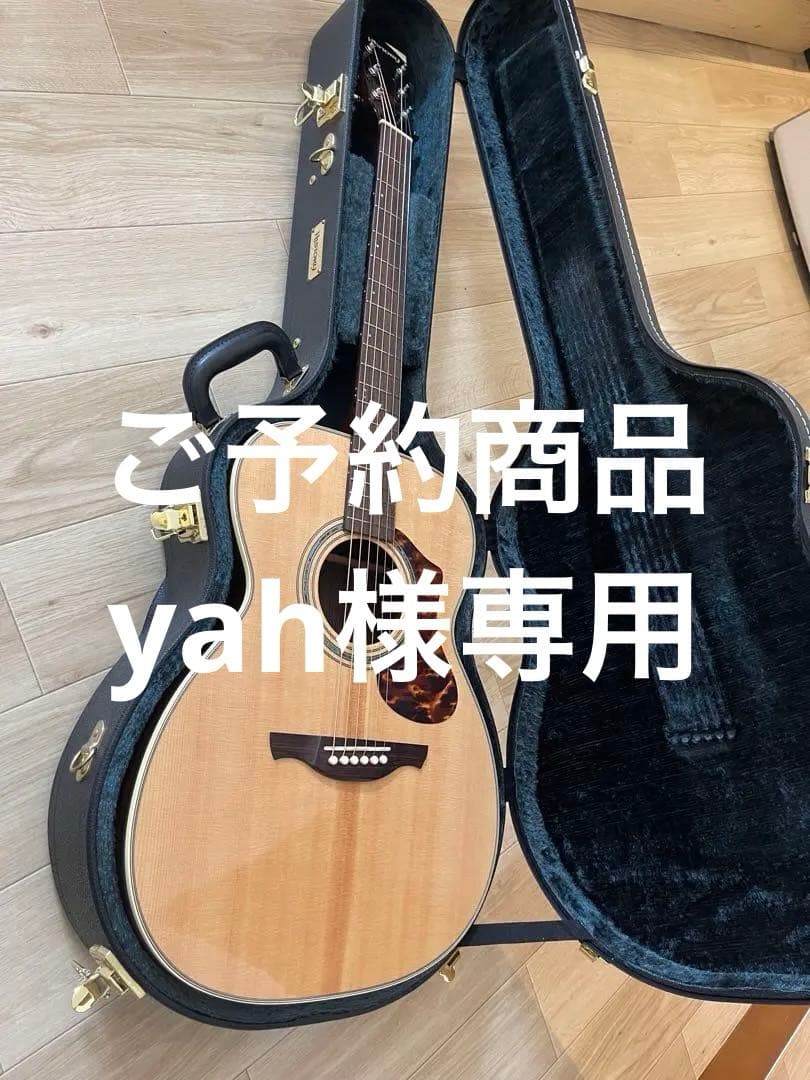 【美品】NTS3 アコースティックギター　ハードケース付き