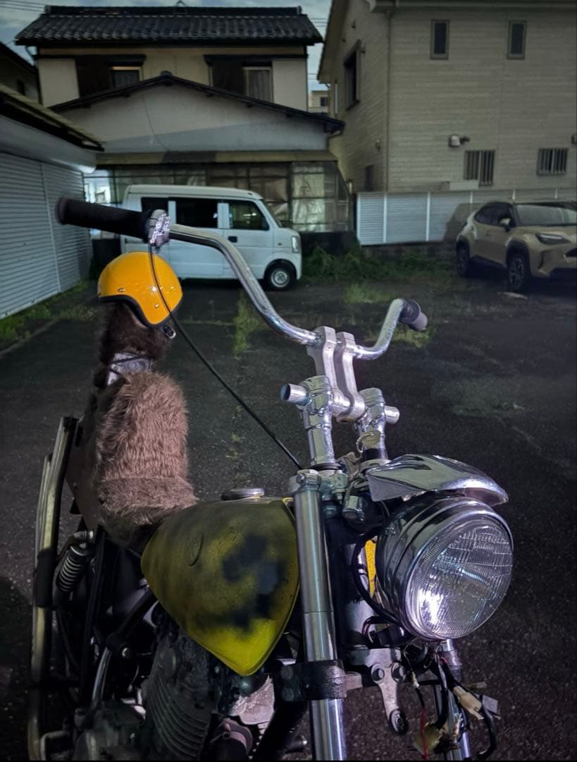 ドッグボーンライザー　セット