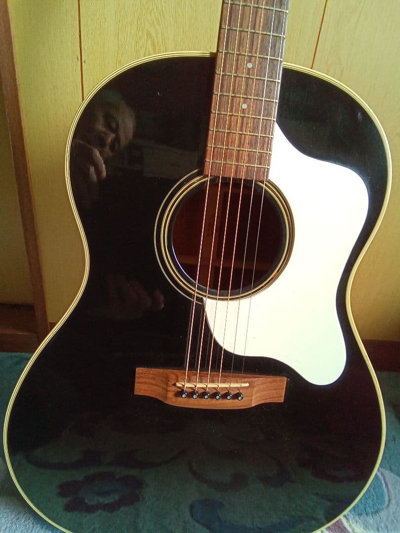 専用❗❗スタッフォードSAD 1000 カスタム 寺田楽器 - メルカリ